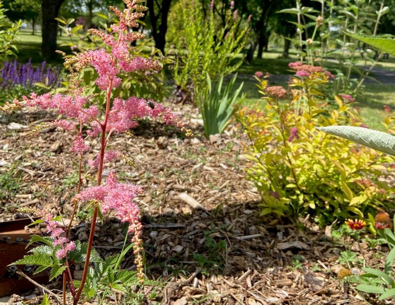 Parc de la Rigolée, , France
